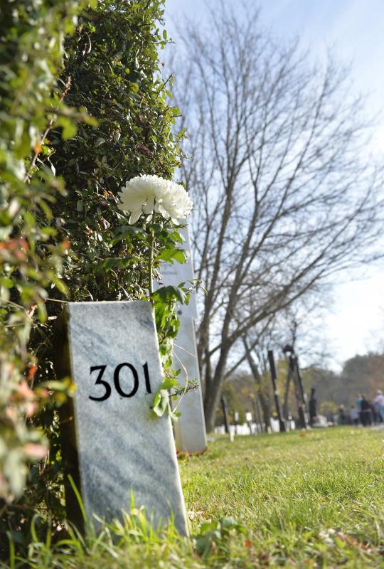 Egy szál virág a 301-es parcellánál, ahol az '56-os áldozatok sírjai vannak, az 1956-os forradalom és szabadságharc 57. évfordulóján a Rákoskeresztúri Újköztemetőben 2013. október 23-án.