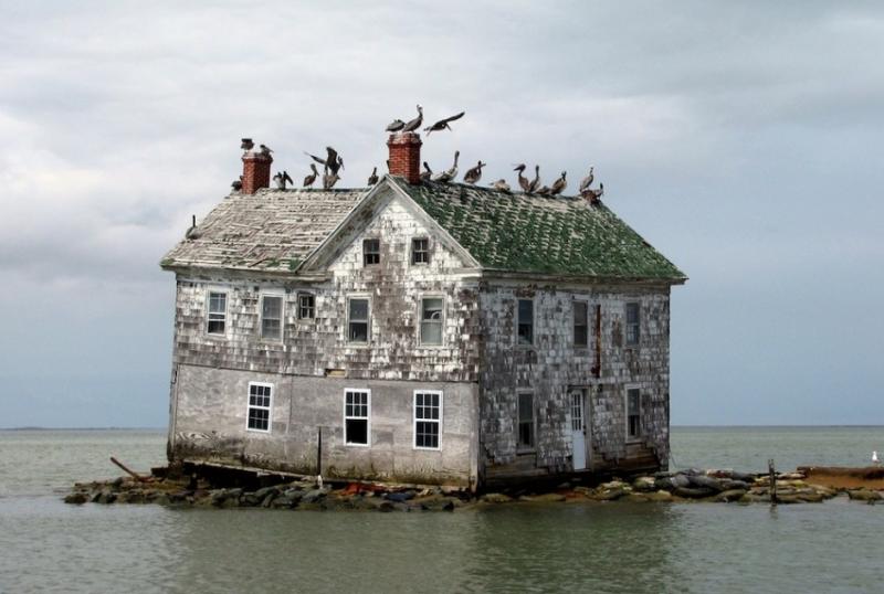 Holland Island, Chesapeake Öböl
