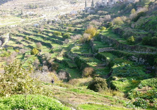  Battir, Ciszjordánia
