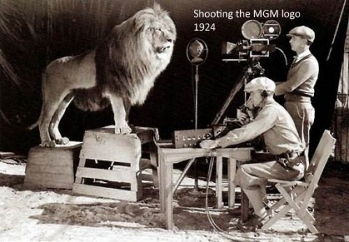MGM logójának filmezése