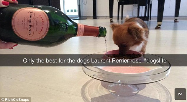 „Kutyaélet Laurent Perrier rozéval”